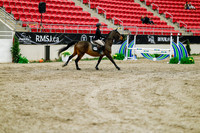 2025 - Haylee - Royal West - Friday October 24th - 00869