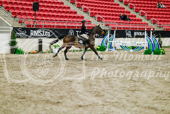 2025 - Haylee - Royal West - Friday October 24th - 00869