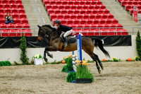 2025 - Haylee - Royal West - Friday October 24th - 00883