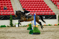 2025 - Haylee - Royal West - Friday October 24th - 00884