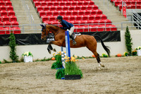 2025 - Haylee - Royal West - Friday October 24th - 01022