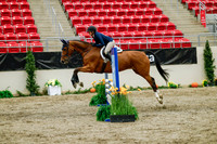 2025 - Haylee - Royal West - Friday October 24th - 01024