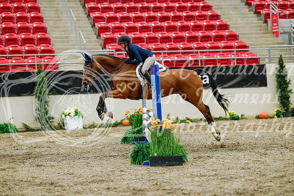 2025 - Haylee - Royal West - Friday October 24th - 01024