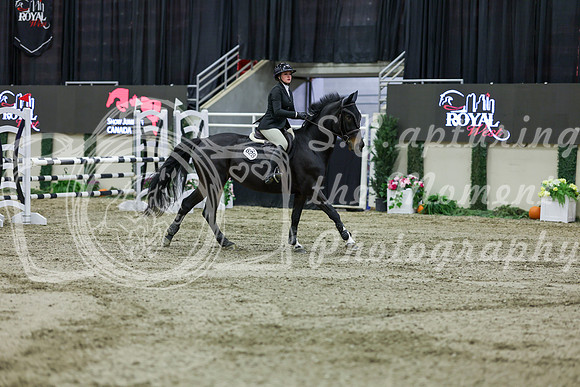 2025 - Shea - Royal West - Friday October 24th - 01576