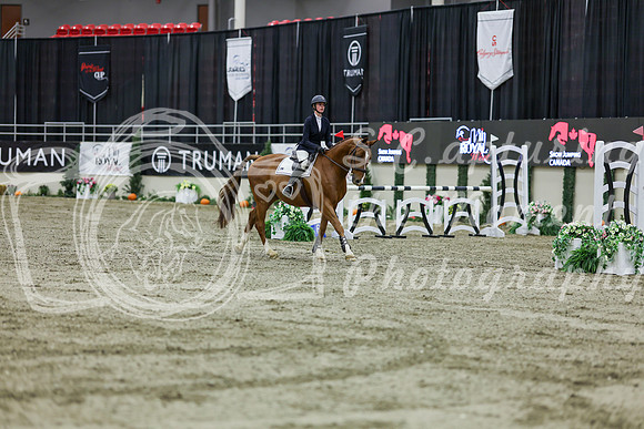 2025 - Shea - Royal West - Friday October 24th - 01594
