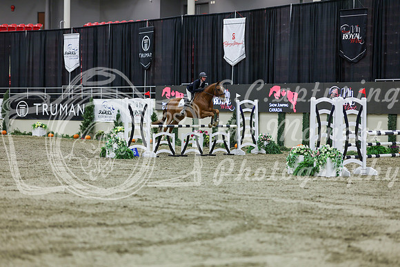 2025 - Shea - Royal West - Friday October 24th - 01622