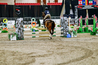 2025 - Haylee - Royal West - Friday October 24th - 02860
