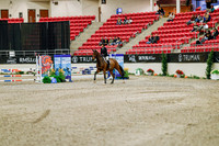 2025 - Haylee - Royal West - Friday October 24th - 02553