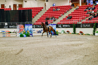 2025 - Haylee - Royal West - Friday October 24th - 02554