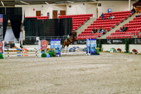 2025 - Haylee - Royal West - Friday October 24th - 02566