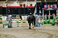 2025 - Haylee - Royal West - Friday October 24th - 02641