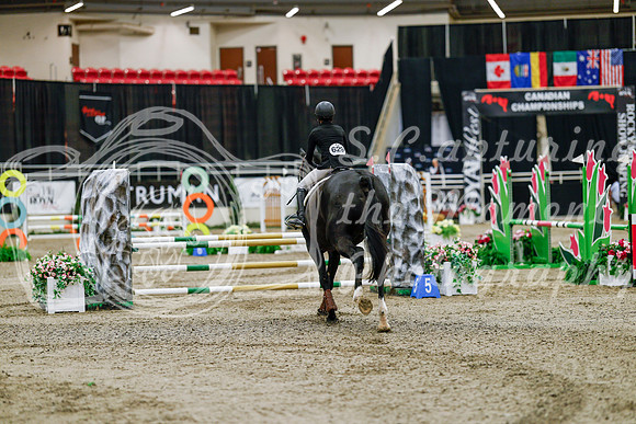 2025 - Haylee - Royal West - Friday October 24th - 02641