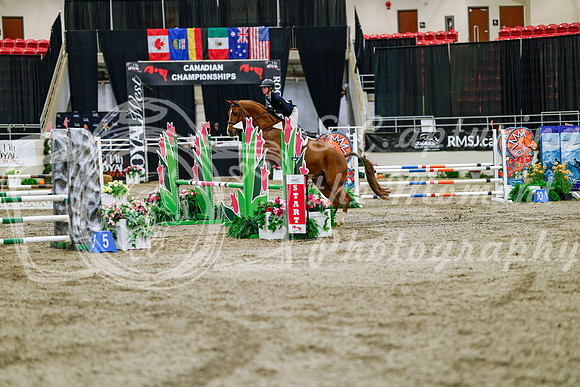 2025 - Haylee - Royal West - Friday October 24th - 03153