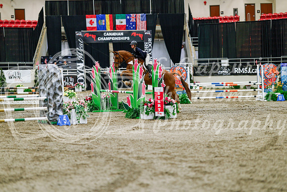 2025 - Haylee - Royal West - Friday October 24th - 03156