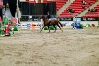 2025 - Haylee - Royal West - Friday October 24th - 03217