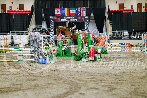 2025 - Haylee - Royal West - Friday October 24th - 03299