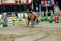 2025 - Haylee - Royal West - Friday October 24th - 03301