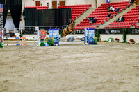 2025 - Haylee - Royal West - Friday October 24th - 03306