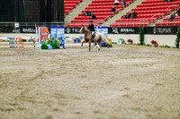 2025 - Haylee - Royal West - Friday October 24th - 03358