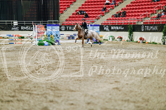 2025 - Haylee - Royal West - Friday October 24th - 03358