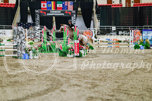 2025 - Haylee - Royal West - Friday October 24th - 03363