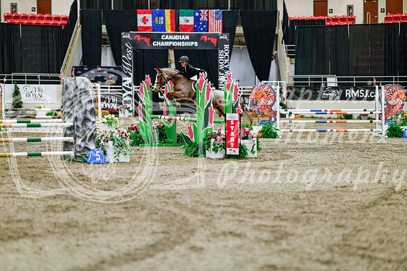 2025 - Haylee - Royal West - Friday October 24th - 03368
