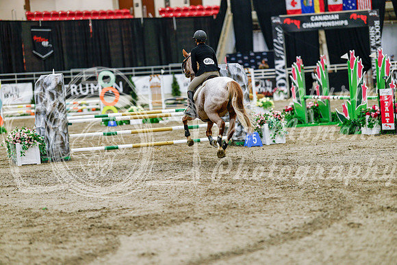 2025 - Haylee - Royal West - Friday October 24th - 03374
