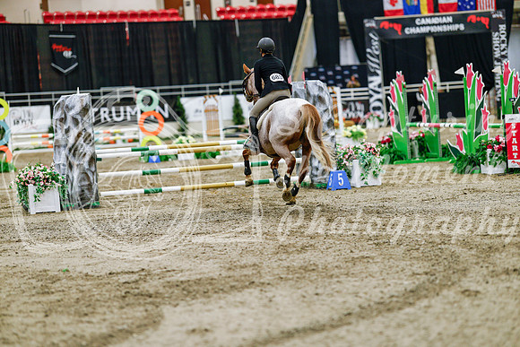 2025 - Haylee - Royal West - Friday October 24th - 03375