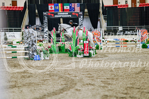 2025 - Haylee - Royal West - Friday October 24th - 03066