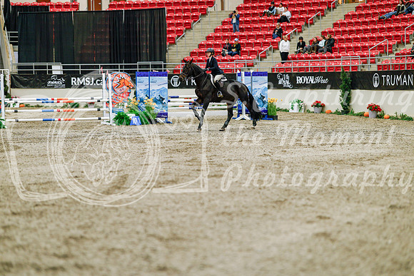 2025 - Haylee - Royal West - Friday October 24th - 02982