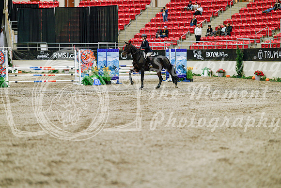 2025 - Haylee - Royal West - Friday October 24th - 02984