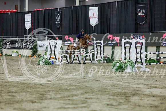 2025 - Shea - Royal West - Friday October 24th - 02243