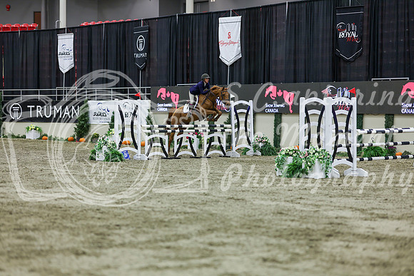 2025 - Shea - Royal West - Friday October 24th - 02244