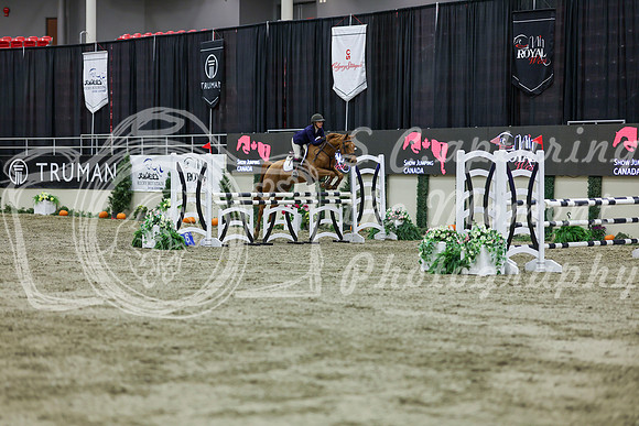 2025 - Shea - Royal West - Friday October 24th - 02245