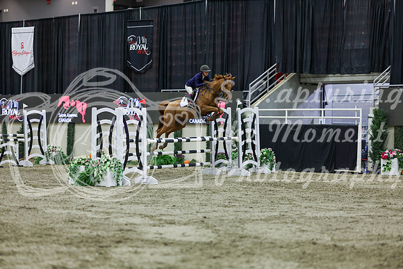 2025 - Shea - Royal West - Friday October 24th - 02250