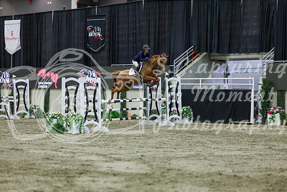 2025 - Shea - Royal West - Friday October 24th - 02251