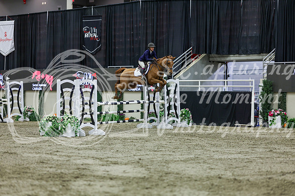 2025 - Shea - Royal West - Friday October 24th - 02253