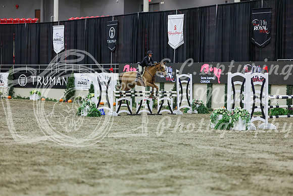 2025 - Shea - Royal West - Friday October 24th - 02298