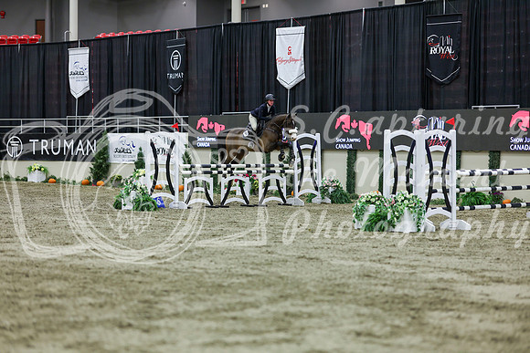 2025 - Shea - Royal West - Friday October 24th - 02344
