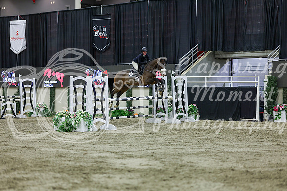 2025 - Shea - Royal West - Friday October 24th - 02348