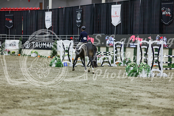 2025 - Shea - Royal West - Friday October 24th - 02102