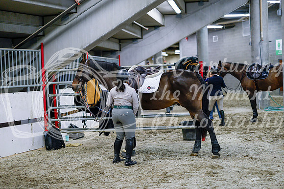 2025 - Haylee - Royal West - Friday October 24th - 02440