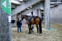 2025 - Haylee - Royal West - Friday October 24th - 02448