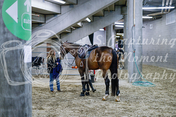 2025 - Haylee - Royal West - Friday October 24th - 02448