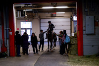 2025 - Haylee - Royal West - Friday October 24th - 02452