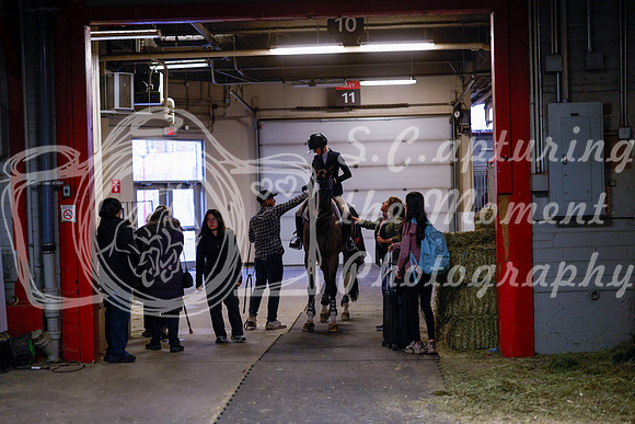 2025 - Haylee - Royal West - Friday October 24th - 02452