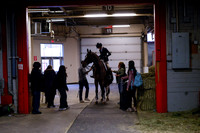 2025 - Haylee - Royal West - Friday October 24th - 02456