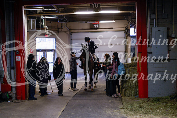 2025 - Haylee - Royal West - Friday October 24th - 02455