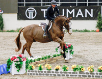 Equitation Challenge