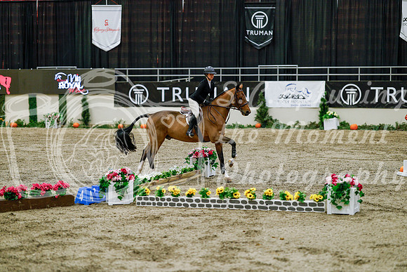 2025 - Haylee - Royal West - Friday October 24th - 07673
